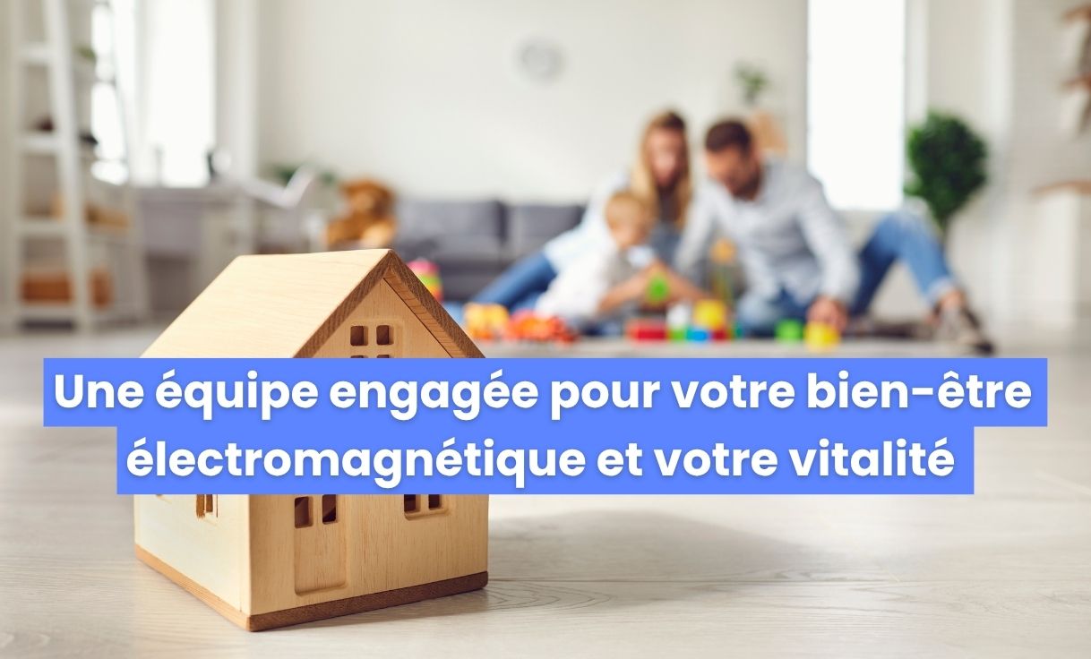 Chez Geotellurique.fr une équipe de conseiller en environnement électromagnétique est au service de votre équilibre électromagnétique et de votre vitalité